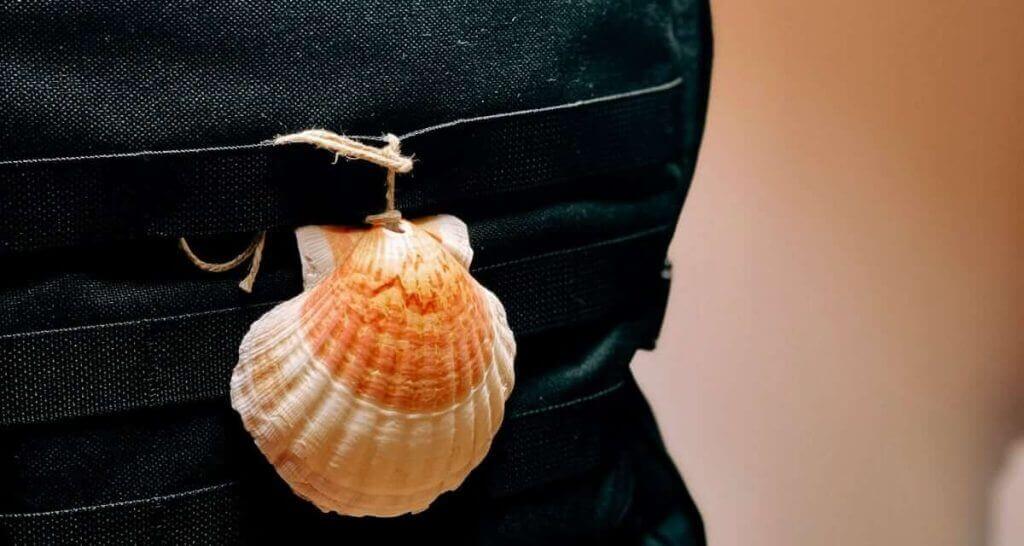 A Pilgrim's Journey- Why Pilgrimage Matters