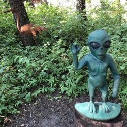 Alien at the Vortex in Montana
