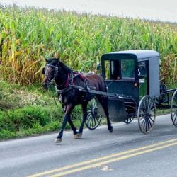 Amish Buggy near Cleveland Amish Buggy near Cleveland