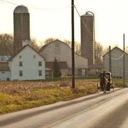 Amish horse cart and farm near Indianapolis Amish horse cart and farm near Indianapolis