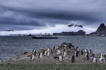 Wildlife encounter with penguins in Antarctica