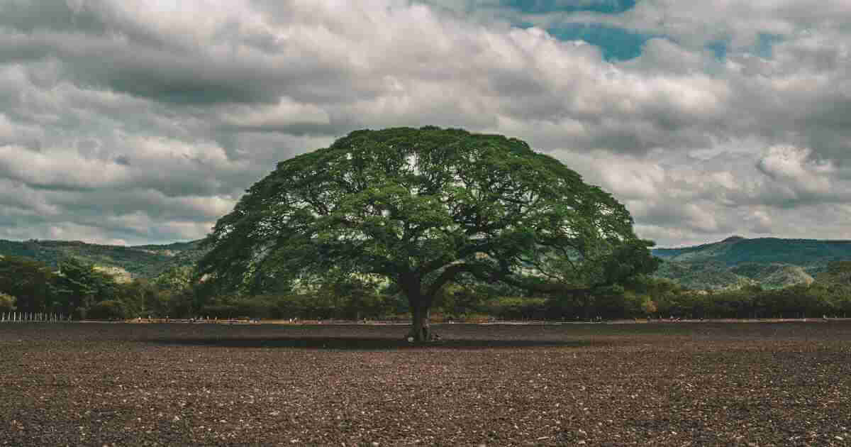 Building a Legacy in Honduras Building a Legacy in Honduras
