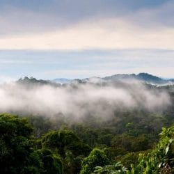 Depositphotos_10272582_m-2015