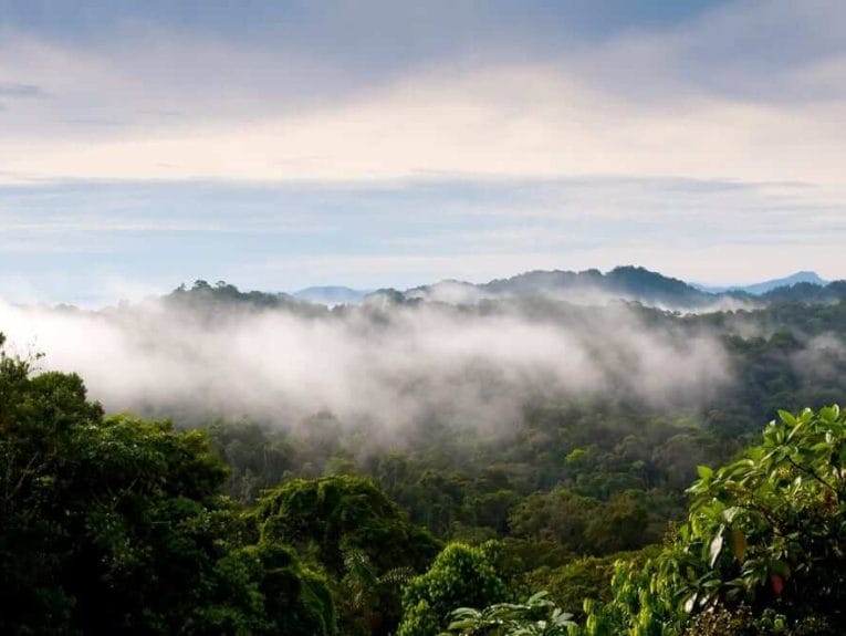 Depositphotos 10272582 m 2015