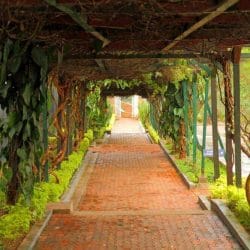 Depositphotos_22389895_m-2015