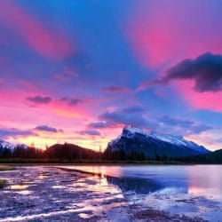 Depositphotos_37382887_m-2015