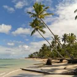 Depositphotos_4639460_m-2015