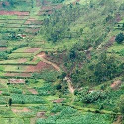 Depositphotos_60679079_m-2015