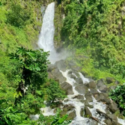 Dominica tropical waterfall lush forest