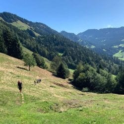 Hiking in the North Carolina mountains