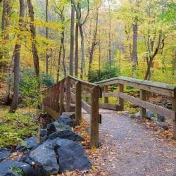 Hiking trail in Delaware