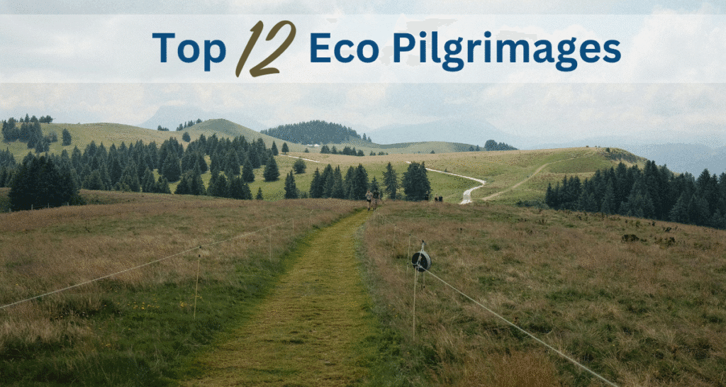 Eco Pilgrimages: 12 Inspiring Wonder Voyage Destinations for 2026 Image of grass walking trail for Wonder Voyage blog about eco pilgrimages
