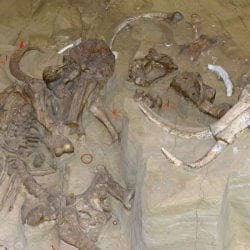 Mammoth dig site in South Dakota