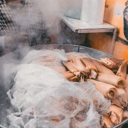 Mexico Monarch Butterfly Adventure 1 Mexico Monarch Butterfly Adventure