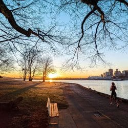 Park in Vancouver Park in Vancouver