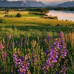 Riegsee in Upper Bavaria