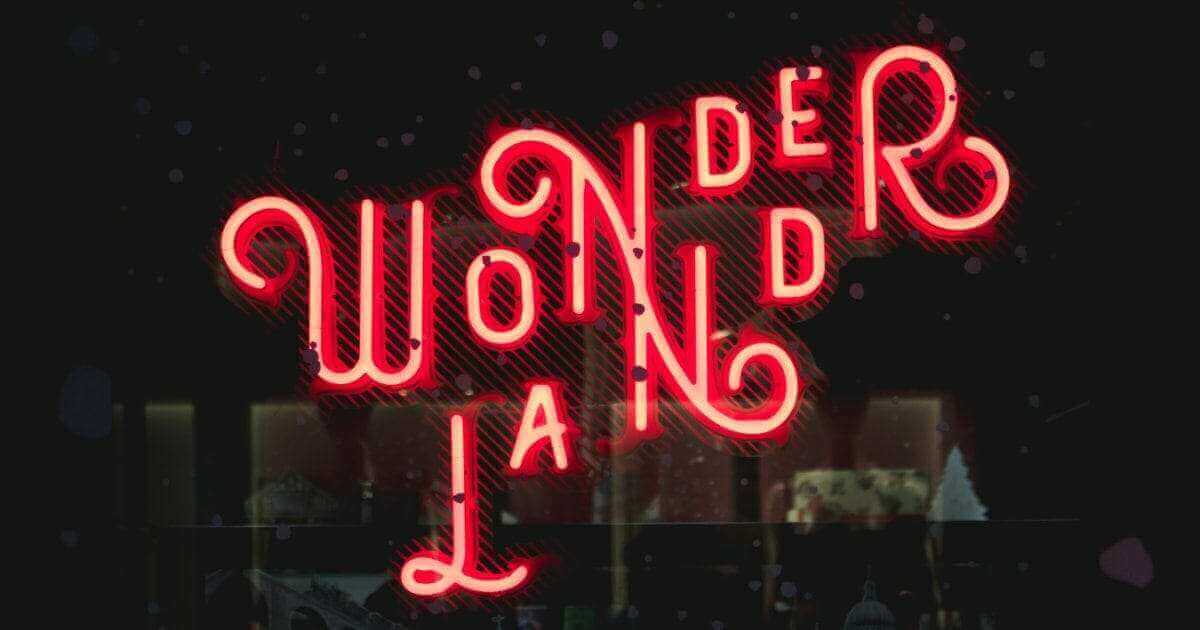 Summer 2021 Recap- Reconnecting With Wonder Summer 2021 Recap- Reconnecting With Wonder