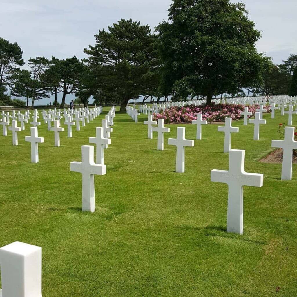 TAPS - Wonder Voyage Blog