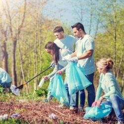Volunteers cleaning park