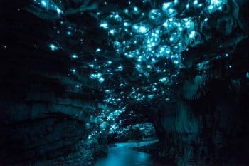 Wonder Voyage Pilgrimage To New Zealand Waitomo Caves glow worms in New Zealand