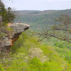 Whitaker Point in Arkansas