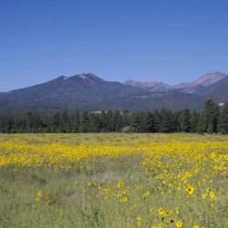 Discover the various landscapes of the state on a Mission Trip or Pilgrimage to Arizona with Wonder Voyage.