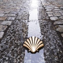 Pilgrims shell on the Camino de Santiago. Pilgrims shell on the Camino de Santiago.