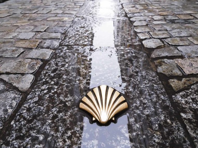 Pilgrims shell on the Camino de Santiago.