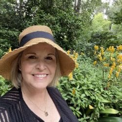 Laurel in the garden Laurel in the garden