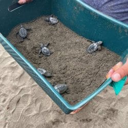 costa-rica-pilgrimage-2023-4