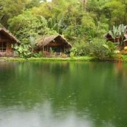 Visit Mindo Cloud forest on a Mission Trip or Pilgrimage to Ecuador.