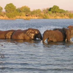 iStock_000001015366Small