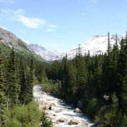 iStock_000001142033Small