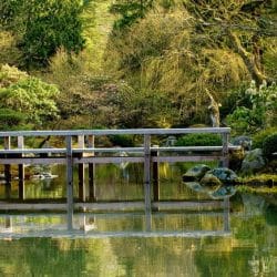 iStock_000001408863Small