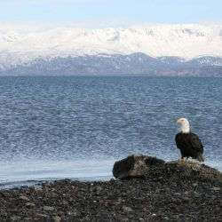 iStock_000001911669Small