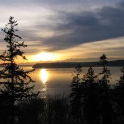 iStock_000004339182Small