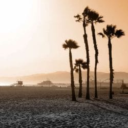 iStock_000004637031Small