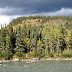 iStock_000005331282Small