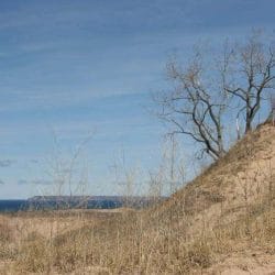 iStock_000005916086Small