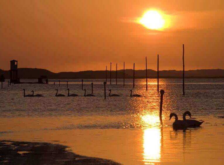 iStock 000006984412Small