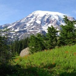 iStock_000007266040Small