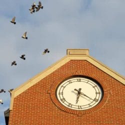 iStock_000007400924Small