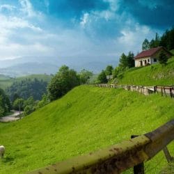 iStock_000007697994Small1