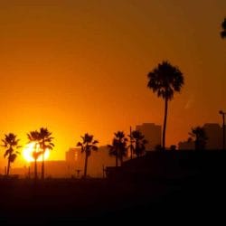 iStock_000009617317Small