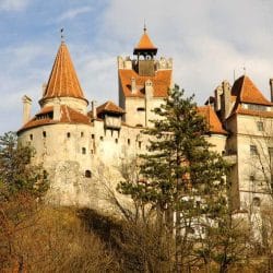 iStock_000011107643Small1