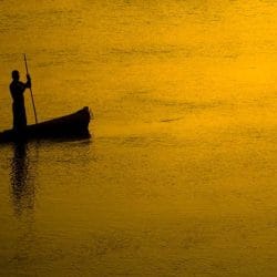 iStock_000011240704Small