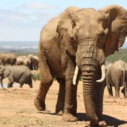 iStock_000011722687Small