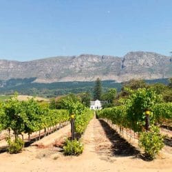 iStock_000012360738Small