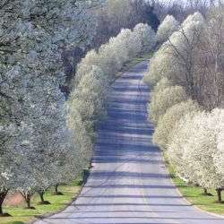 iStock_000012539454Small