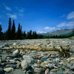 iStock_000014331760Small